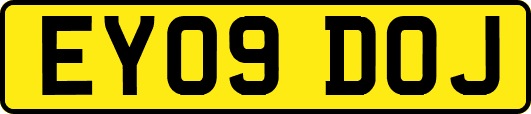 EY09DOJ
