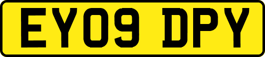 EY09DPY