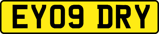 EY09DRY