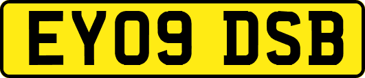 EY09DSB