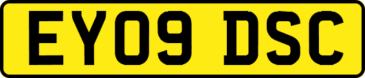 EY09DSC