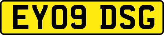 EY09DSG