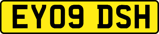 EY09DSH