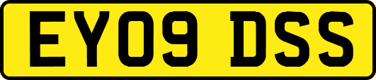 EY09DSS