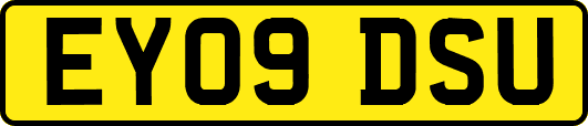 EY09DSU