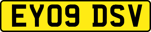EY09DSV