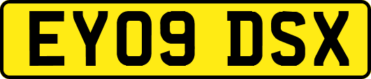 EY09DSX