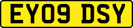 EY09DSY