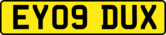 EY09DUX