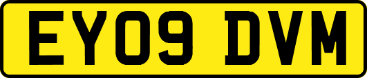 EY09DVM