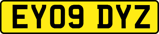 EY09DYZ