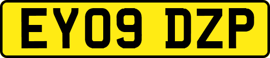 EY09DZP