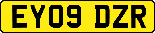 EY09DZR