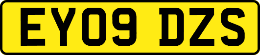 EY09DZS