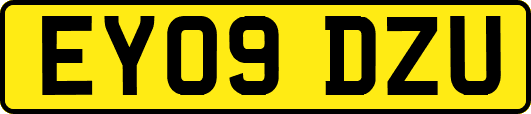 EY09DZU