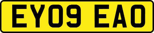 EY09EAO