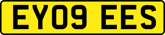 EY09EES