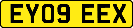 EY09EEX