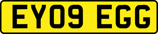 EY09EGG