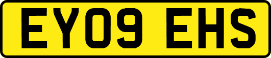 EY09EHS