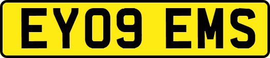 EY09EMS