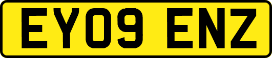 EY09ENZ