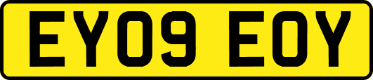 EY09EOY