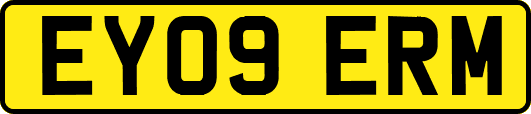 EY09ERM