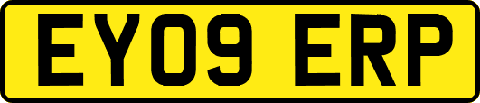 EY09ERP