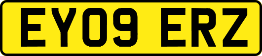 EY09ERZ