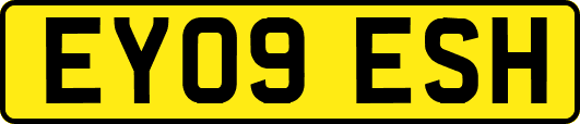 EY09ESH