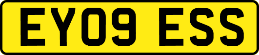 EY09ESS