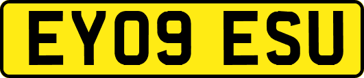 EY09ESU