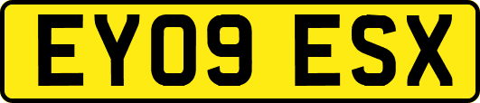 EY09ESX