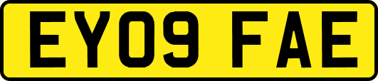 EY09FAE