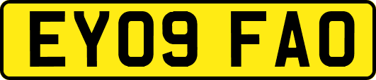 EY09FAO