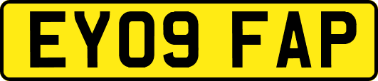 EY09FAP