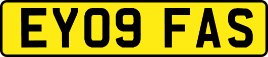 EY09FAS