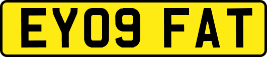 EY09FAT
