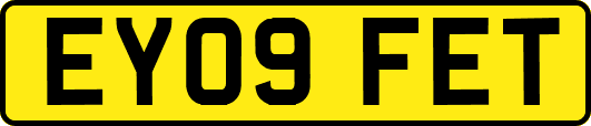 EY09FET