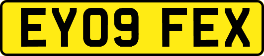 EY09FEX