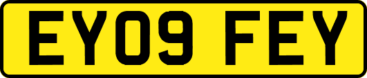 EY09FEY