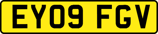 EY09FGV