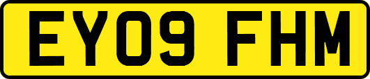 EY09FHM