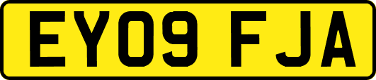 EY09FJA
