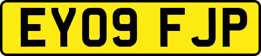 EY09FJP