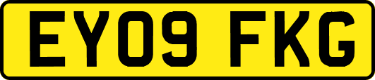 EY09FKG