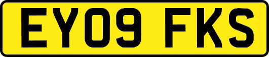 EY09FKS