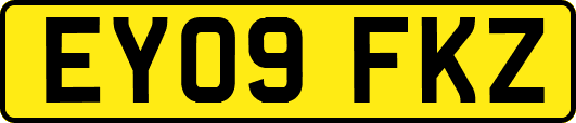 EY09FKZ