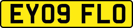 EY09FLO